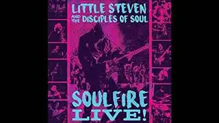 LITTLE STEVEN & THE DISCIPLES OF SOUL - Groovin' Is Easy (live audio 2017)