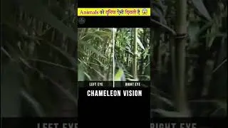 जानवरों को दुनिया ऐसी दिखती है 😱 Part-2 | How Animals see the World #shorts #factsmine