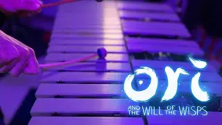 Main Theme (Ori and the Will of the Wisps) - Vibraphone Arrangement