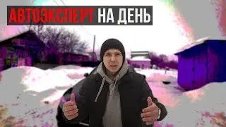 Автоэксперт на день. Эксперт на день. Автоподбор.