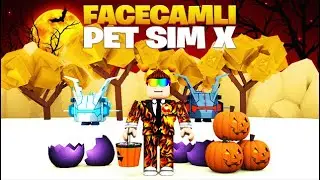 🐶Ilk Facecamli Video VE Pet Simulator X🐶 | Pet Simulator X | Roblox Türkçe