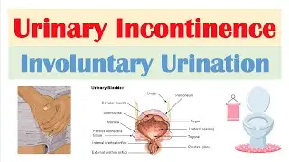 Urinary Incontinence (Stress, Urge, Overflow & Functional) | Causes, Symptoms, Diagnosis, Treatment