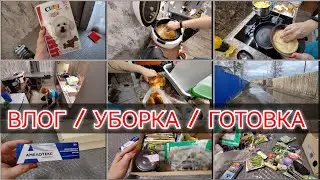 ПРОБЛЕМЫ СО ЗДОРОВЬЕМ / ЗАПАСЫ СЕМЯН / ПОЧЕМУ ДОЛГО НЕ СНИМАЛА.. 19 апреля 2024 г.