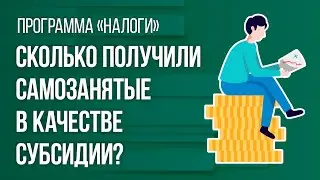 Сколько получили самозанятые в качестве субсидии?