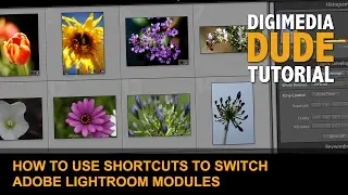 How To Use Shortcuts To Switch Adobe Lightroom Modules