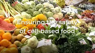 Ensuring the food safety of cell-based food