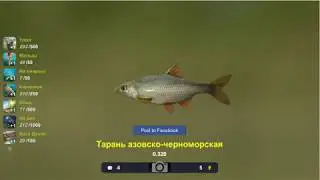 Trophy Fishing 2 - Тарань азовско-черноморская 0.320