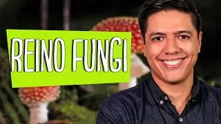 REINO FUNGI - ESTRUTURA E DIVERSIDADE DOS FUNGOS - PARTE 01 - Prof. Kennedy Ramos