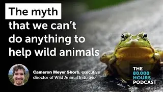 Dismantling the myth that we can't do anything to help wild animals | Cameron Meyer Shorb