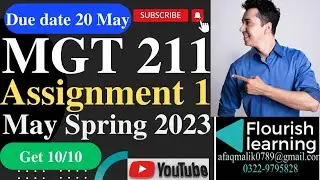 MGT211 Assignment 1 Solution 2023/ MGT211 Assignment 1 2023/ MGT211 Assignment Solution Spring 2023