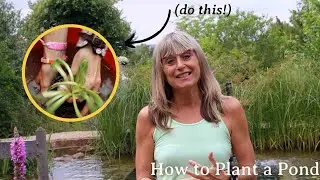 How to Plant a Pond