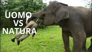 Cacciati da casa per far spazio agli ELEFANTI 🐘 in NEPAL 🇳🇵