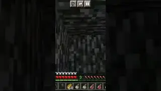 #minecraft 194 trillion hardcore world