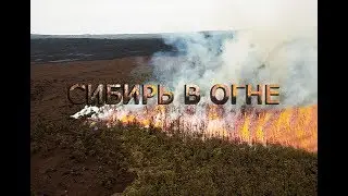 Сибирь ГОРИТ весь лес в огне Красноярск пожар 2019 Видео.