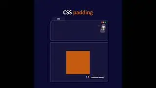 CSS Padding Tutorial | A Visual Guide