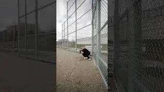 CRAZY Super Fast Pitch Effect! 🔥