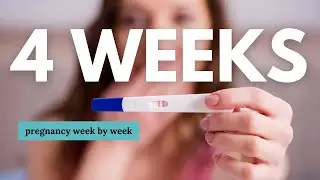 4 Weeks Pregnant 🤰 What to Expect: Changes for You & Baby Development