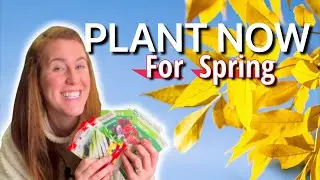 Plant THESE Seeds This Fall For Spring 2024 Harvests!