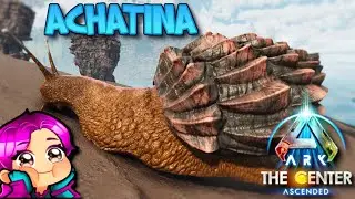 WHERE TO FIND ACHATINA   THE CENTER   Ark Survival Ascended