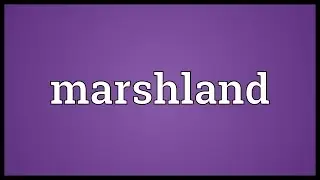 Marshland Meaning