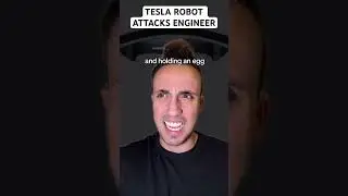 Tesla Robot Attacks Engineer