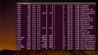 How to fix could not get lock /var/lib/dpkg/lock (Ubuntu 16.04)