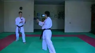 Demonstration Kihon Kumite [WADO KAI] - 4/1