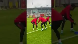 Ranaldo bar bir tezda