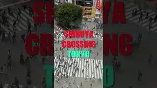 2.4 Million People A Day! 🤯(Tokyo’s Shibuya Crossing)