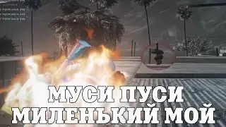 МУСИ ПУСИ, МИЛЕНЬКИЙ МОЙ / ПРИКОЛЫ В ГТА 5 / GTA 5