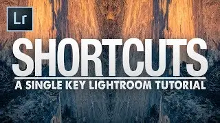 9 SINGLE KEY Lightroom SHORTCUTS I Use EVERYday