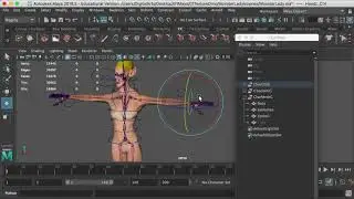Intro to Character Animation-Structure and Controllers