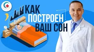 Фазы сна. Медленный, быстрый сон. Продолжительность и функции фаз сна