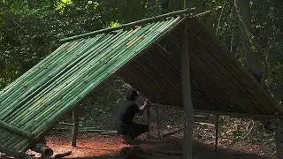 Survival Alone Camping in Rainforest | Make The Bamboo Shelter | Bushcraft Rainforest