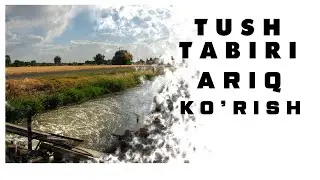 Tushda Ariq Ko'rish Tabiri