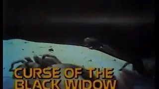 The ABC Friday Night Movie - Curse of the Black Widow - WLS-TV (Opening & Break, 1977)