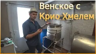 Венское пиво с Крио Хмелем (сухое охмеление).