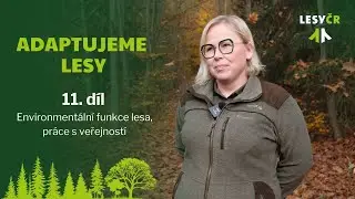 Adaptujeme lesy - 11. díl