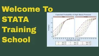 STATA TRAINING SCHOOL T