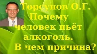 Торсунов О.Г. Почему человек пьёт алкоголь. В чем причина? Как отдыхать? Учимся жить.