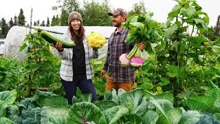 Harvesting Huge Vegetables from Our Summer Garden