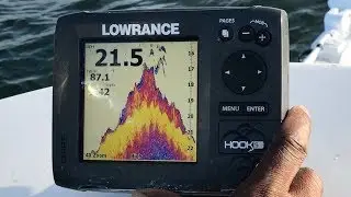 How To Read A Fish Finder To Find Whitebait Like A Pro