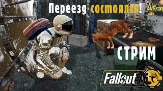 Fallout 76 | Кот живее всех живых!