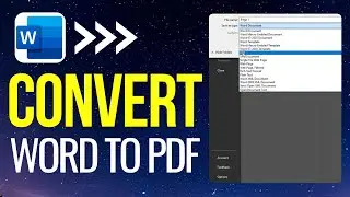 How to Convert Word to PDF (2024) - Windows 10/11