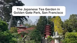 My Visit to the Japanese Tea Garden in Golden Gate Park, San Francisco