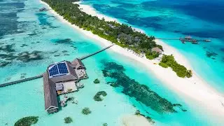 Maldives Relax Music 🌴 Bossa Nova Beach 🌴 Bossa Nova with Ocean Waves for Relaxation