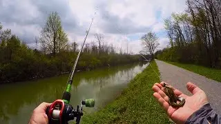 Looking for Aggressive PreSpawn Bass - Spring Bank Fishing