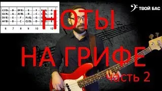 Ноты на грифе бас гитары (часть 2)