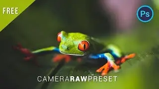 Macro Photography Free Preset | Free Camera RAW Preset Download