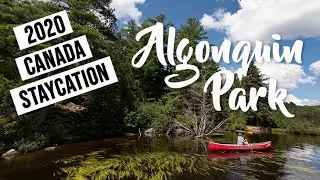 2020 Canada Staycation - Algonquin Provincial Park Family Trip